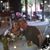Kathy Schellenbaum-Iatesta's profile image
