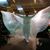 Rebecca Cuevas's profile image