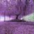 Paaige K. Turner's profile image