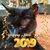 Sandra Correira-Ettress's profile image
