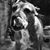 Dee Cee Washington's profile image