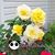 Shirley Prince's profile image
