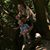 Shawntel Brownlee's profile image