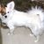 Debbie Willis's profile image