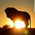 Lee Ann Jaindl's profile image