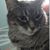 Marcus Daniel Mitchell's profile image