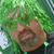 Rick Davidson's profile image