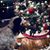 Theresa Cooley Meyer's profile image