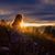 Sandy Madewell's profile image