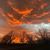 Susan Warner Thomason's profile image