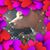 Wendy DePalma's profile image