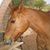 June Chow-Tyne's profile image