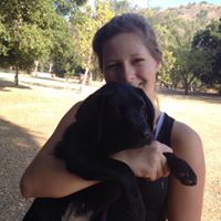 Alexis Sondergaard's profile image