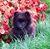 Mary Logue's profile image