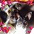 Brenda Martin Jones's profile image