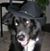 Karin Haack's profile image