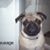 Terri Schiebenes's profile image