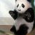 Chris Hodges's profile image