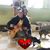 Annette Giampa Miok's profile image