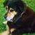 Michelle Price's profile image