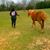 Nicole Harrison Morris's profile image