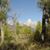 Carol Hobza's profile image