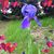 Nanna Marlene's profile image