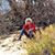 Andree Golata's profile image