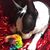 Beth Moul's profile image