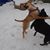 Amanda Clayville's profile image