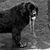 Douglas Semack's profile image