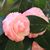 Mary Bandouveres's profile image