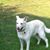 Judy Anderson's profile image