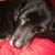 Eric Pedersen's profile image