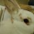 Barbara Schenck's profile image