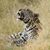 Susanne Pilla's profile image