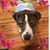 Judith Gothard Moore's profile image