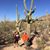 Joann Jordan's profile image
