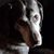 Vanessa Hovetter's profile image