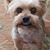 Deborah Meinecke's profile image