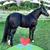 Luis Solis's profile image
