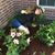 Terri Lofton's profile image