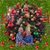 Linda Davis's profile image