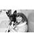 Melissa Houghtalin's profile image
