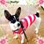 Neng Shaffer's profile image