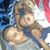 Heury Gomez's profile image