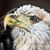 Kathleen M Finnerty's profile image