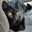 kitty Svg's profile image