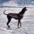 Jenny Jousma's profile image