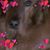 Esther Mcmanus's profile image